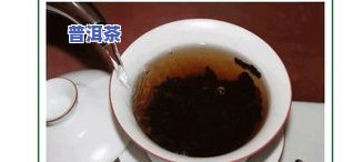 普洱茶知识大全及介绍视频-普洱茶知识大全及介绍视频讲解