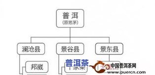 普洱茶厂区：细分、排名与产地解析