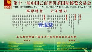 云南普洱茶厂官网：首页、招聘及联系电话全览