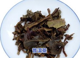 普洱茶与枸杞能同时泡吗？了解其功效及是否适合一起饮用