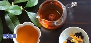 普粹牌普洱茶：价格、品质全面解析