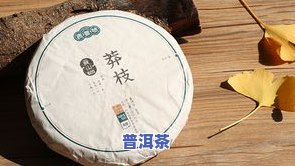 普洱茶里的贡茶介绍及口感评价