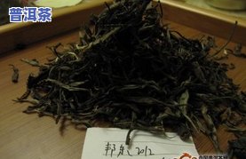 普洱茶里的贡茶介绍及口感评价