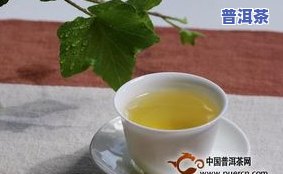 普洱茶浸水了怎么办？影响口感及饮用安全的解决方法