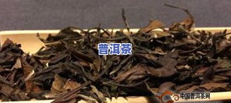 白茶一斤多少钱-福鼎白茶一斤多少钱