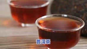 普洱茶小户赛属于什么茶？特点、原料及云南百科全解，小户赛与大户赛的区别