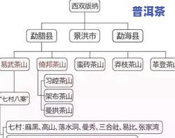 普洱茶六大产区及特点详解：地理环境、口感风格、制作工艺一览