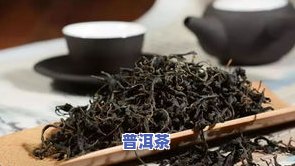 云洱普洱茶名称是什么-云洱普洱茶名称是什么呢