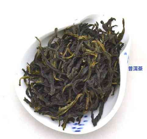 普洱茶新茶品种-普洱茶新茶品种有哪些