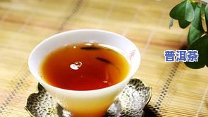 普洱茶糊口-普洱茶糊点