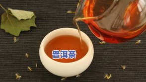 普洱茶糊口-普洱茶糊点