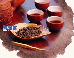 福村梅记普洱茶官网：压箱底茶叶品质如何？