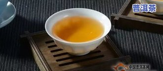 普洱茶含不含茶碱：探讨其含量与成分的影响