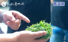 茶叶有金花能喝吗？了解金花对茶叶的影响与安全性的探讨