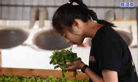 凌云有不存在普洱茶卖的地方-凌云有不存在普洱茶卖的地方啊