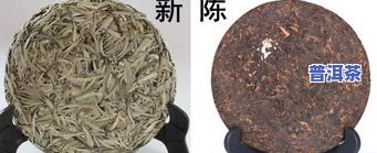 冰岛普洱茶：何时出名？哪个年份更好？