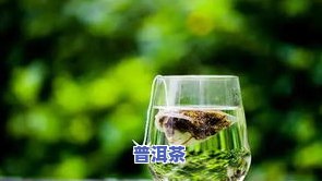 薄荷叶和普洱能一起泡茶吗？熟悉功效与饮用方法