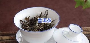 薄荷叶和普洱茶哪个好-薄荷叶和普洱茶哪个好喝