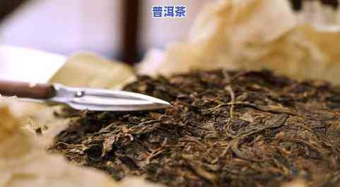 炒普洱茶的起源与发展：哪一年开始？