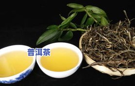 云南景迈普洱茶怎么样-云南景迈普洱茶怎么样好喝吗