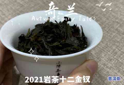 干普洱茶有海带味道吗-干普洱茶有海带味道吗能喝吗