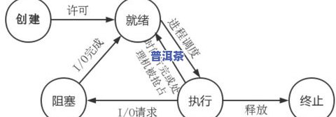 茶叶沉入水底的原因：解析与分析