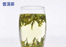 哪些茶叶不需要冷藏-哪些茶叶不需要冷藏保存