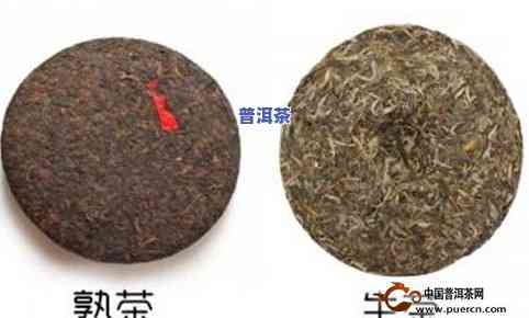 普洱茶叶分类大全：标准、特点与分类方法全解析