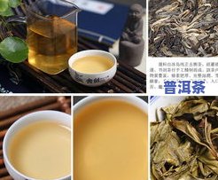 探究冰岛普洱茶甜味来源：它是怎样产生的？口感醇厚、甜而不腻，为何如此受欢迎？