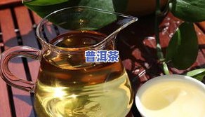 喝普洱茶两个月瘦了20斤：真实有效的减肥方法？