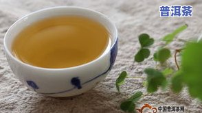 普洱茶马帮-普洱茶马帮进京