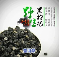 湛江陈皮普洱茶批发价多少？最新行情一斤价格是多少？