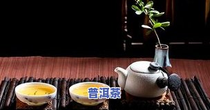 四岁孩子可以喝普洱茶吗？探讨儿童适宜饮茶的问题