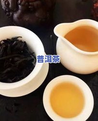 北方人适合喝普洱茶吗？用户分享经验与建议