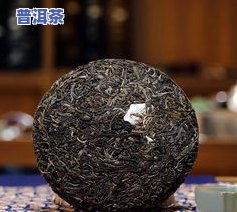 夸夸普洱茶-夸赞普洱茶