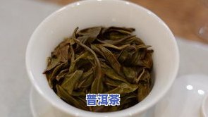 普洱散茶与茶饼价格比较：哪个更贵？