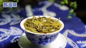 探究普洱茶冲泡韵味：为何有种骚味？