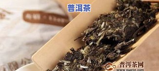 全面解析：普洱散茶与茶饼茶的区别