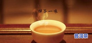 深入了解：普洱茶干仓与湿仓的价值区别