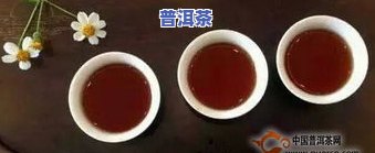 国标普洱茶-国标普洱茶的定义是什么