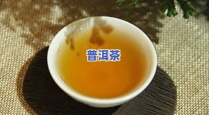 普洱茶有多少种类及香型？