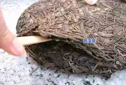 普洱茶饼茶叶很碎？泡法有讲究！