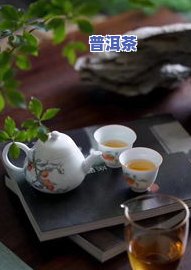 普洱茶怎样冲泡-普洱茶怎样冲泡好喝