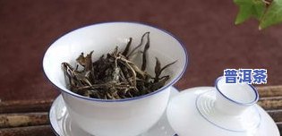 普洱茶怎样冲泡-普洱茶怎样冲泡好喝