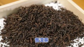 甲子普洱茶-甲山普洱茶