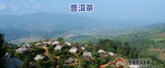 临沧曼岗普洱茶怎么样-临沧曼岗普洱茶怎么样啊