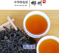 普洱茶的知识大全：从历史到品鉴，一文带你熟悉全面