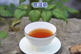 抖音普洱茶怎么样的-抖音普洱茶怎么样的啊