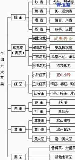 茶叶加工深加工的种类与特点：深入熟悉茶叶产业的发展