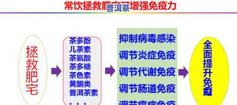 茶叶深加工技术-茶叶深加工技术有哪些